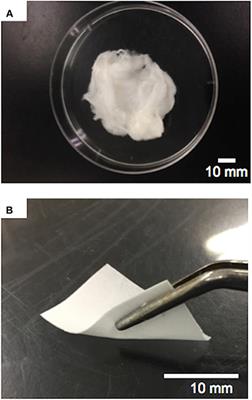 Three-Dimensional Cotton-Wool-Like Polyhydroxybutyrate/Siloxane-Doped Vaterite Composite Fibrous Scaffolds: Effect of Imogolite-Coating on Physicochemical and Cell Adhesion Properties